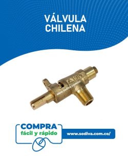 Válvula Para Estufa Chilena / Protector
