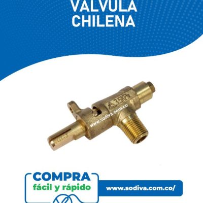 Válvula Para Estufa Chilena / Protector